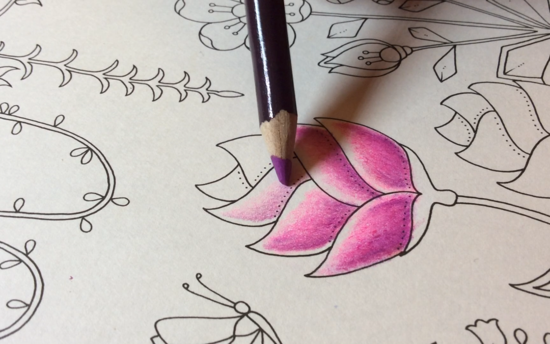 How I Color A Lotus Flower – Magical Jungle – Prismacolor Premier Pencils